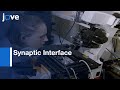 Synaptic Interface of the T Cell Assessment | Protocol Preview