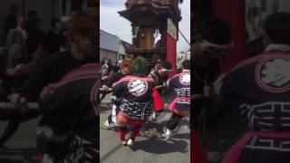 半田市 西成岩地区祭礼2017 #まつり #祭り #山車 #山車まつり #山車祭り #半田 #春っぽい