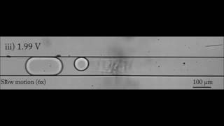 On-demand droplet splitting using surface acoustic waves