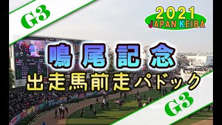 【競馬パドック】鳴尾記念・前走パドック（2021年）