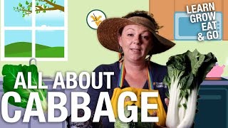 "Learn, Grow, Eat & Go" – Season 3 – Cabbages