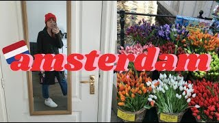 2 Days in Amsterdam | cari cakes in The Netherlands VLOG