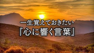 一生覚えておきたい『心に響く言葉』【心に響く言葉】#15.