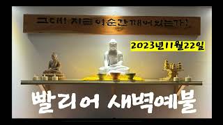 빨리어 새벽예불 _ 2023.11.22. 보배경