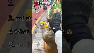 Ranking the Funniest Angry Monkey Moments
