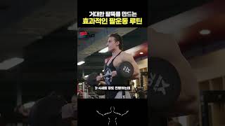 꽉 찬 팔을 만드는 왕팔루틴 \u0026 꿀팁  [사딕 하드조빅]