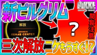 【メガニケ】三次解放ニケもうすぐか!?新ピルグリムも!?６体のピルグリムも見た目紹介＆今後の流れ予想!!※キャラ見た目注意【勝利の女神NIKKE】