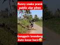 Funny snake prank ular piton raksasa gangguin brondong🤣#shorts #prank #funny #funnyvideo#funnyshorts