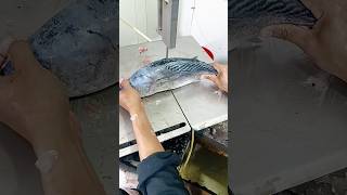 TUNA FISH CUTTING SEA TUNA FISH BIG MARKET & CUTTING #shorts #tuna