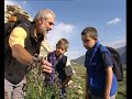 grandeur nature la transhumance documentaire animalier