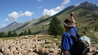 Grandeur Nature - La Transhumance - Documentaire Animalier