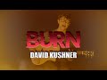 David Kushner - Burn (Sub Español + Lyrics)