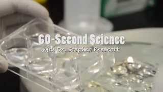 Allergies | 60-Second Science | OMRF