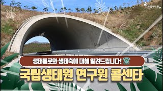 [국립생태원] 국립생태원 연구원 콜센타 6탄!