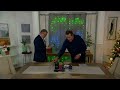 twinkly smart curtain lighting with music adapter on qvc