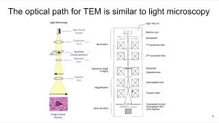 MSE 585 F20 Lecture 19 Module 4 - Comparing TEM to Other Microscopes