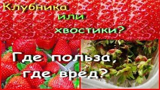 Клубника или хвостики. Где польза, где вред?