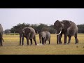 Building Awareness to the Human Elephant Conflict- Wildlife Direct Kenya