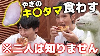 にしやんFCにヤギの金玉を黙って食べさせる