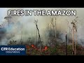Amazon Rainforest Fires: How Brazil's Sovereignty Clashed with Global Climate Action in 2019