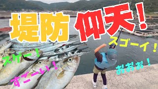 和歌山県中紀の堤防、静まり返った堤防で1人大漁祭りに！