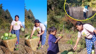 Jina Jonson picking Ash gourd II Sanjip making habitant for sheep@Manjitamrnati