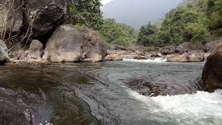 Virgin valley-pathrakadavu-mannarkad