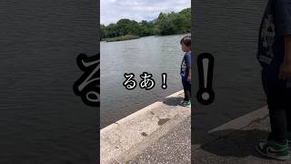 探せばw#3歳 #3歳児#3児のパパ#3歳11ヶ月#1歳11ヶ月#1歳#1歳児#育児 #育児あるある#子供のいる暮らし#育児パパ #家庭#犬#犬のいる暮らし#動物 #おでかけ#餌やり#ドライブ