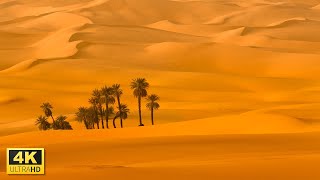 Explore Desert Landscape in 4K Video Ultra HD with Relaxing Music