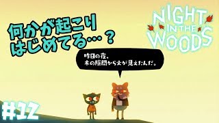 #12【ダメ猫の愛と青春】謎の火柱。何かが起こりはじめてる…？「Night in the Woods ナイト・イン・ザ・ウッズ」日本語版【女性実況攻略】