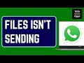 How to Fix Files Isn’t Sending on WhatsApp Web