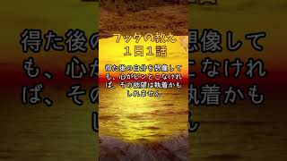 【仏陀の教え3-7】捨てる生き方の極意　#断捨離 #仏教 #ミニマリズム #仏陀の教え #捨てる生き方 #執着を手放す #シンプルライフ #マインドフルネス #自由になる方法 #お釈迦様 #名言