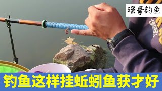 《钓鱼入门》第34集钓鱼这样挂蚯蚓鱼获才会好,细节决定收获，瑶哥钓鱼，钓鱼教学