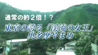 通常の約２倍！？東京の誇る「渓流の女王」奥多摩やまめ