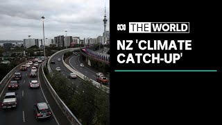 New Zealand's new measures to cut carbon emissions and achieve 2050 climate goals | The World