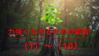 シルバーバーチの霊訓　「力強く生きるための叡智（1〜10）」