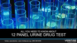 12 Panel Urine Drug Test All You Need to Know FAQ