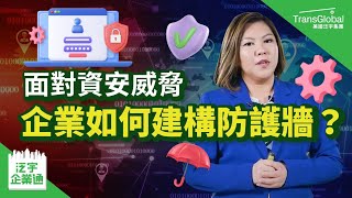 【商業保險】網絡保險 Cyber Security | 面對資安威脅 企業如何建構防護牆？如何透過保險降低隱私外洩駭客風險 獲得保障?｜美國保險｜泛宇企業一站式服務｜TransGlobal 泛宇企業通