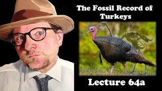 Lecture 64a Fossil Turkeys!