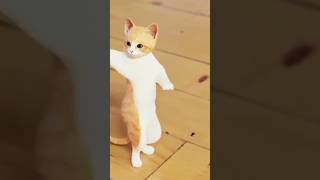 الحلوة ريناد ريناد💃🏼🐈😹#اكسبلور#cat#shorts#جوجو#viralvideo#ماشاءالله#اطفال#العراق