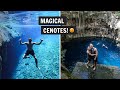 The BEST day trip to CENOTES from Mérida, Mexico! (TWO cenotes, a hacienda, & MAYAN food)