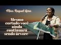 Mesmo cortado você aínda continuará sendo árvore // Miss:Raquel Lima