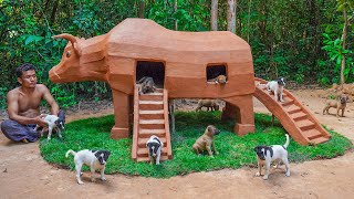 Rescue Floating Puppy Build Dog House Bull House For Them