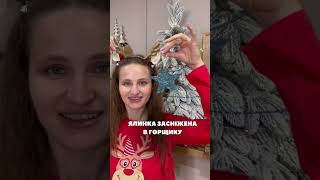 Ялинка лита засніжена в горщику висотою 90 см ❄️🌲#christmastree #sale #christmastree