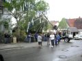 maibaum 2010