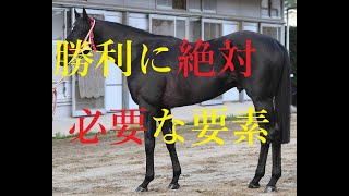 ジャパンカップ 2021 予想 コントレイル・勝利の絶対条件　シャフリヤール・血統の呪縛　オーソリティ・血の因縁と逆転のシナリオ