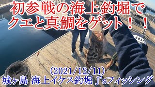 【神奈川県城ヶ島】海上イケス釣堀初挑戦でクエと真鯛をゲット！？