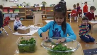 Nurturing the Love of Learning: Montessori Education for the Preschool Years
