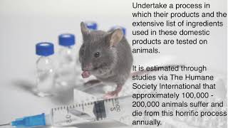 Animal Testing for Cosmetics - Marigo