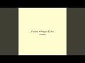 Forest Whisper Echo